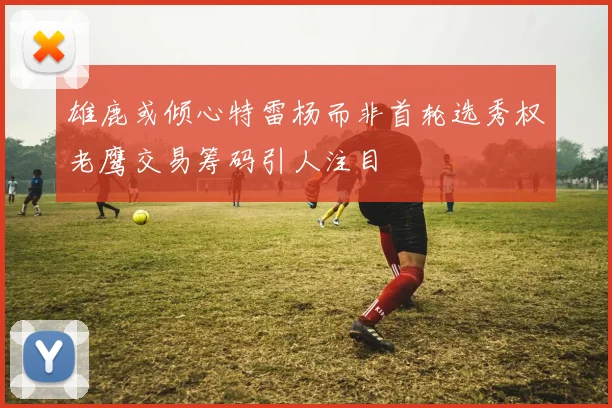 雄鹿或倾心特雷杨而非首轮选秀权老鹰交易筹码引人注目